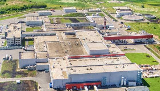 Мираторг, г. Курск